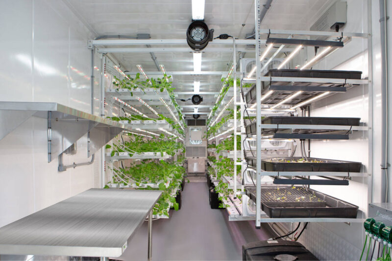 Lab