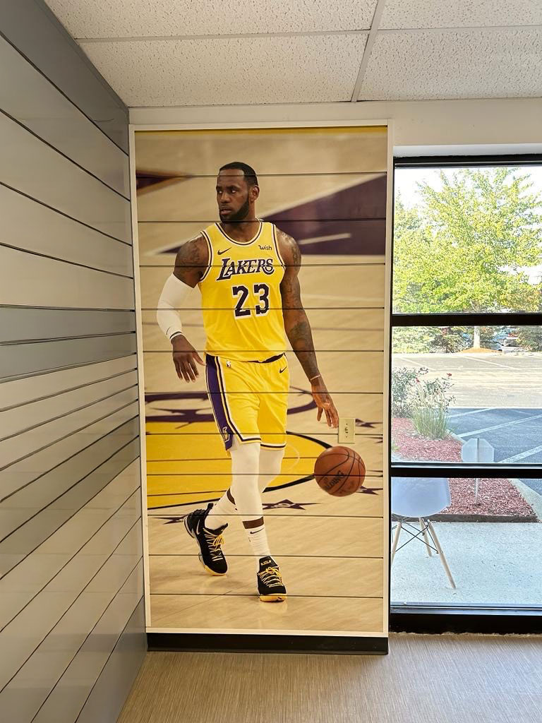 custom printed lebron